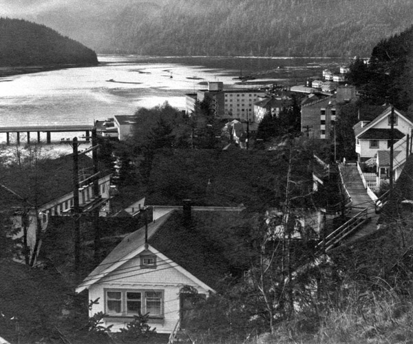 High view of Town site