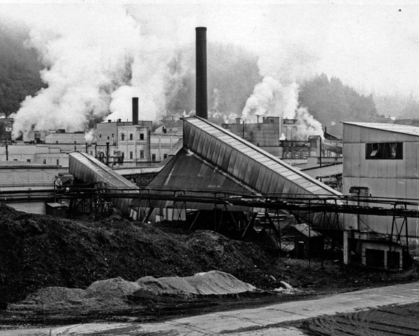 Hog Fuel conveyors